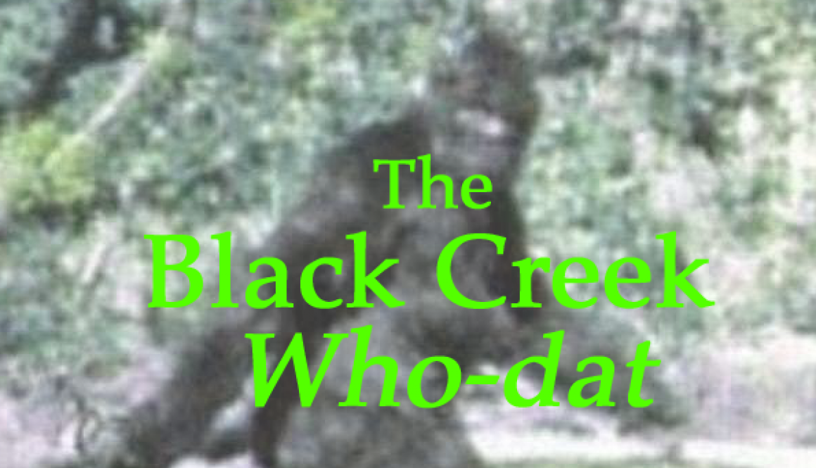 Black Creek Whodat_edited-1